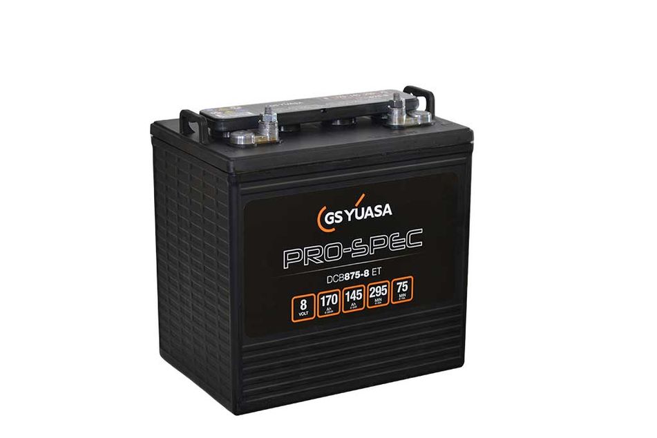 DCB875-8(ET) (8V170Ah)