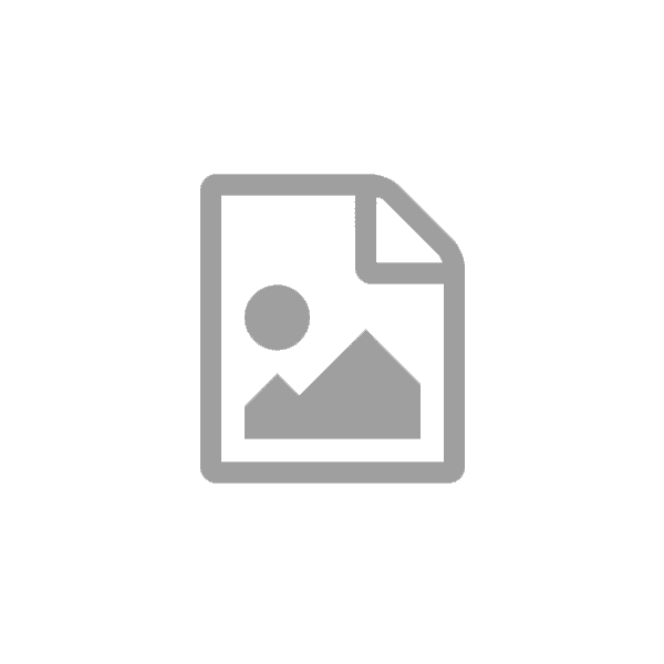 Batteriterminal RACO 203001 + 204001