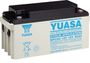 NPC65-12 (12V-65Ah)