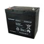YPC55-12 (12V-55Ah)