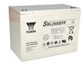 SWL2500FR (12V-2500Watt)