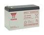NPW45-12 (12V-45Watt/C)